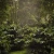 cafe-the-forest-bio (2).webp
