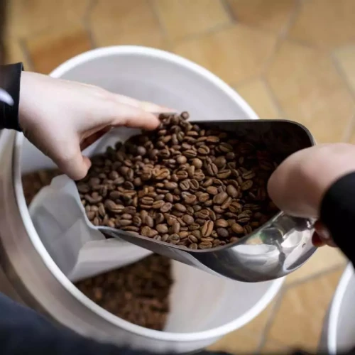 cafe-organic-expresso-bio (1).webp