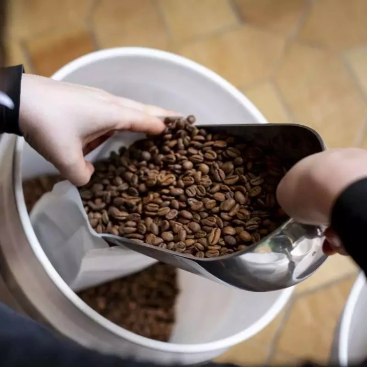 cafe-organic-expresso-bio (1).webp