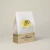 cafe-ksf-goma-forest-bio.webp